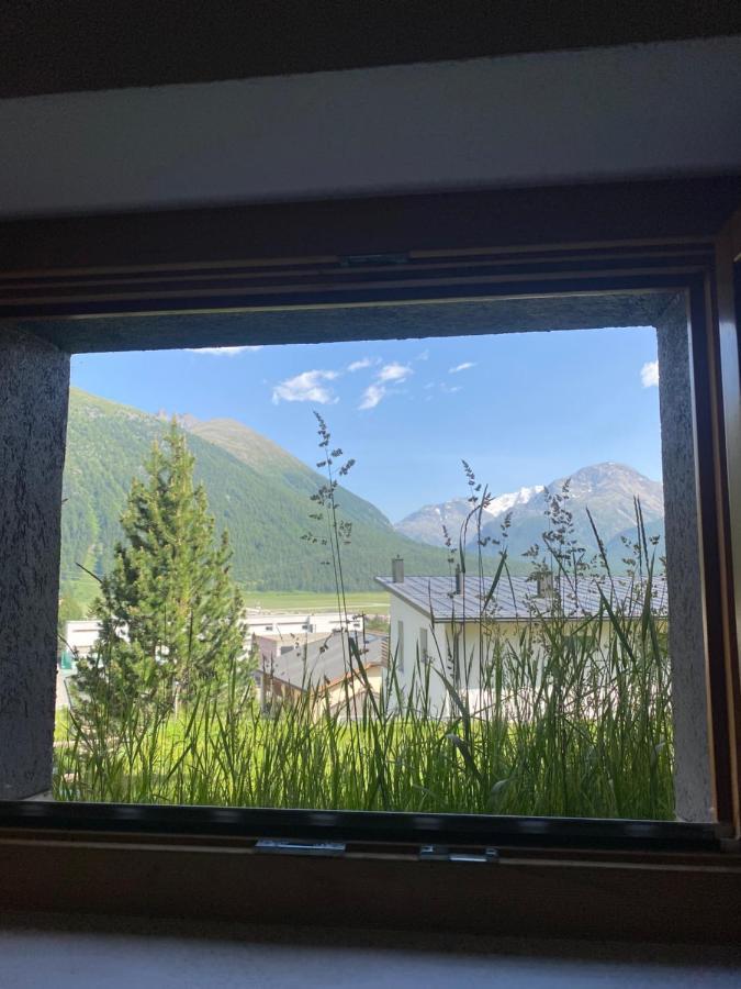 Relaxing Confortable Studio, Heated Garage, Skiroom Замедан Екстериор снимка